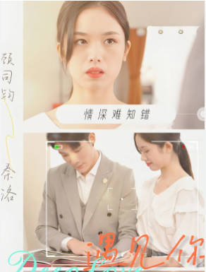 遇见你情深难知错海报