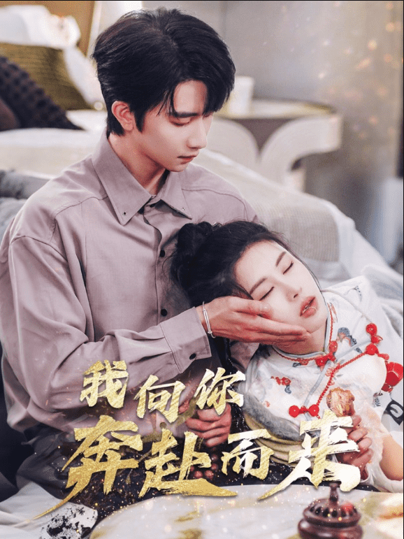 我向你奔赴而来海报