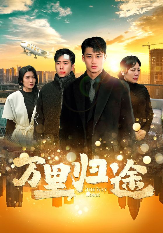 万里归途海报