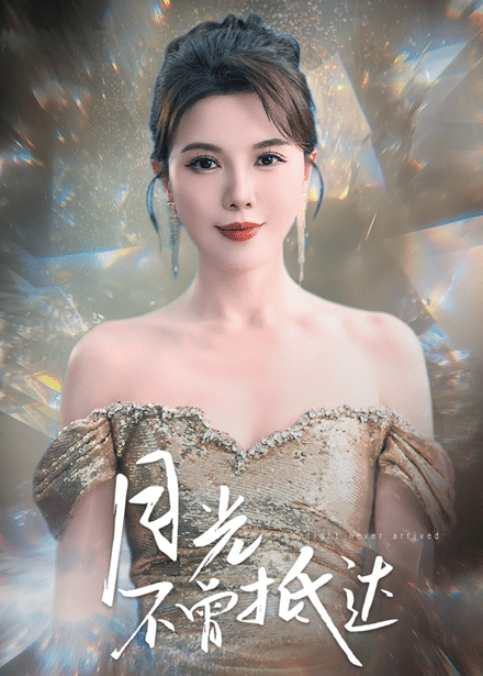 月光不曾抵达海报