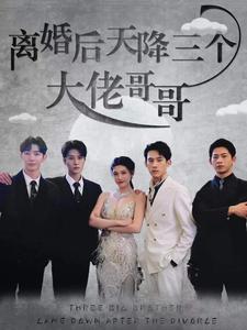 离婚后天降三个大佬哥哥海报