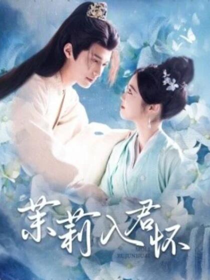 茉莉入君怀海报