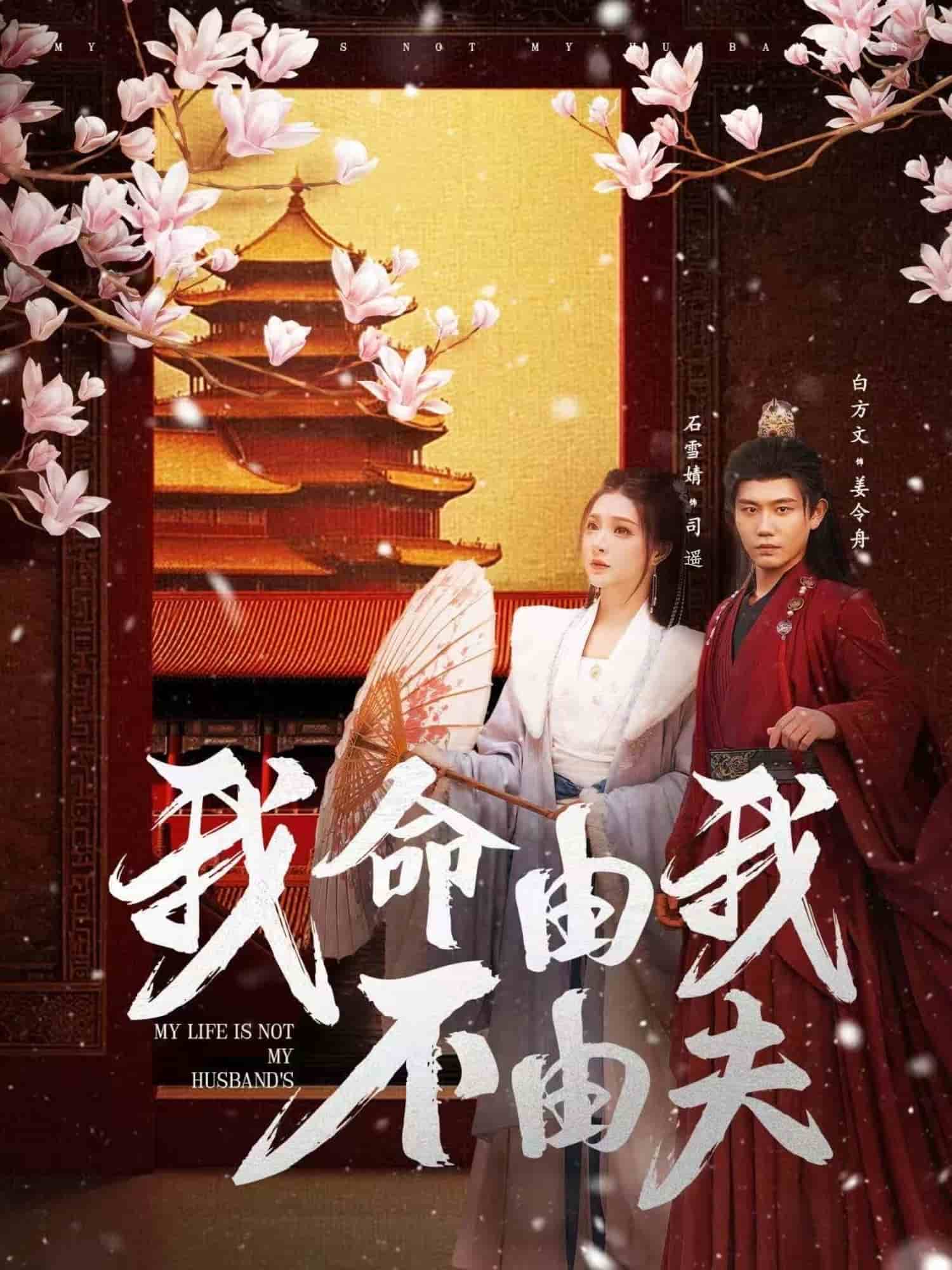 我命由我不由夫海报