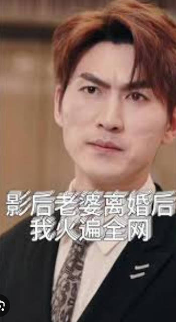 影后老婆离婚后，我火遍全网海报