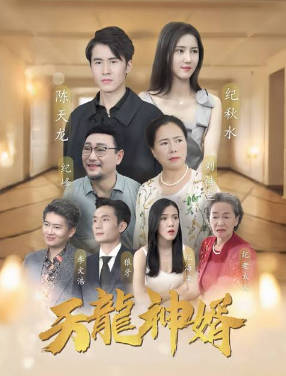 天龙神婿海报