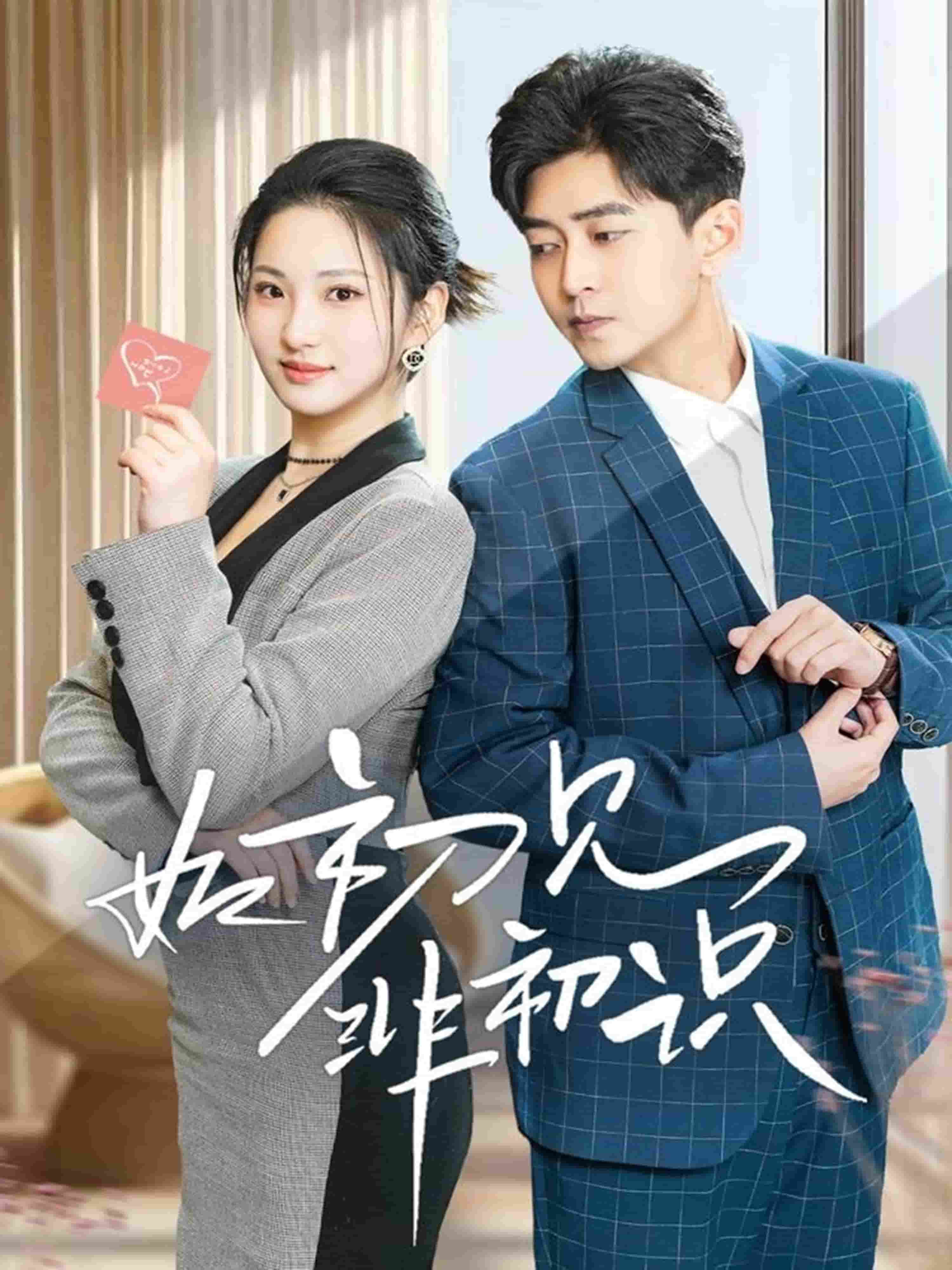 如初见非初识海报