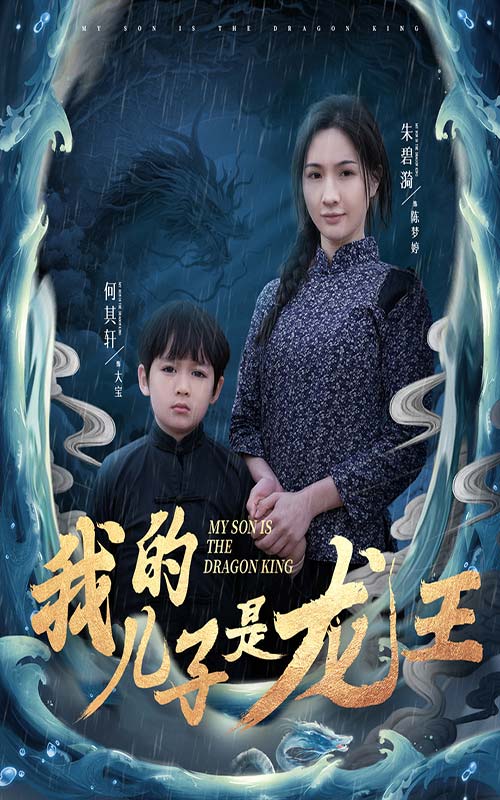 小龙王护母记海报