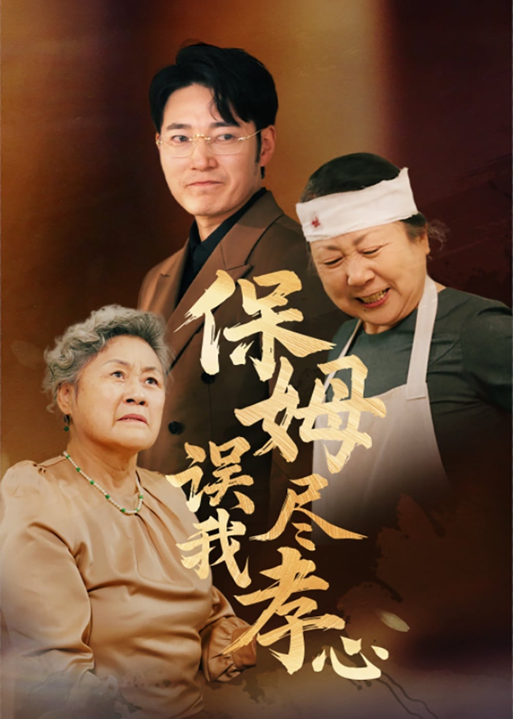 保姆误我尽孝心海报