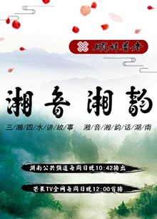 湘音湘韵2018海报