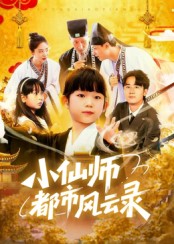 小仙师都市风云录海报