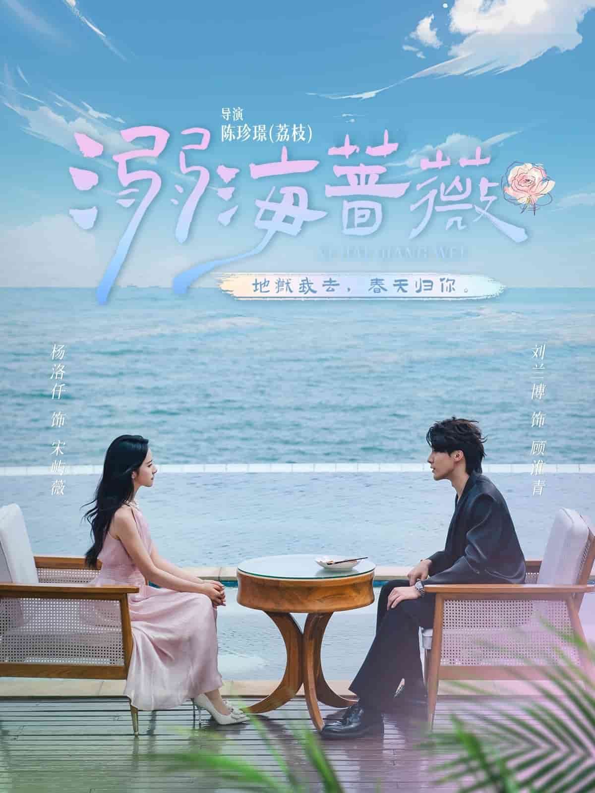 溺海蔷薇海报