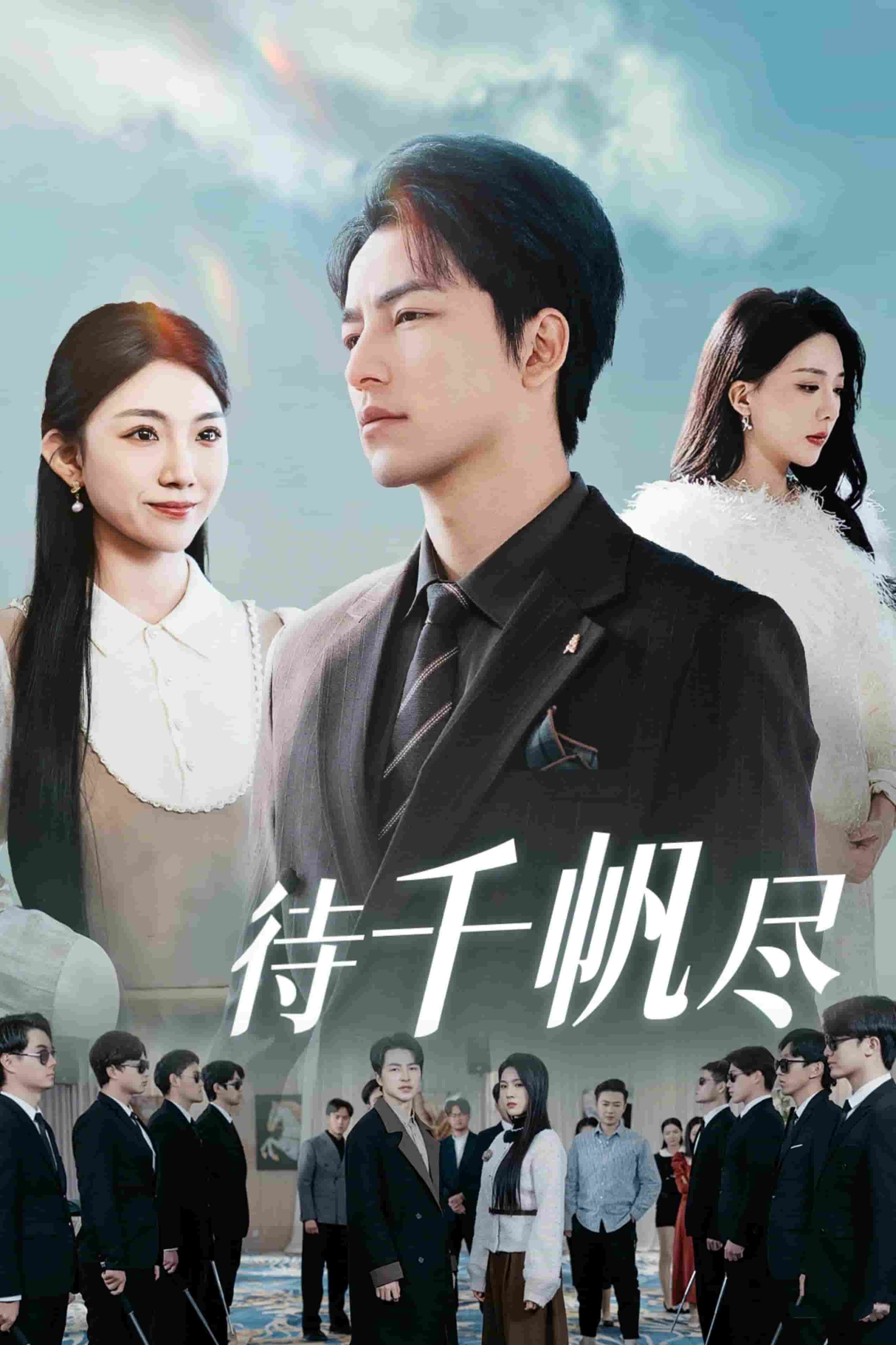 新版：待千帆尽海报