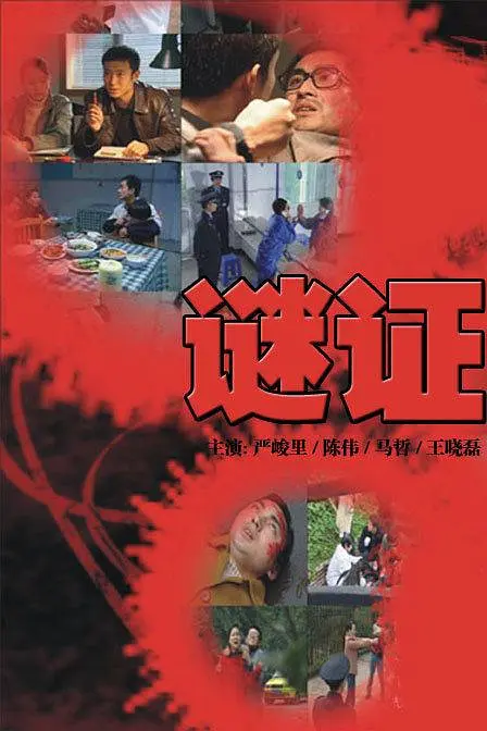 谜证2007海报