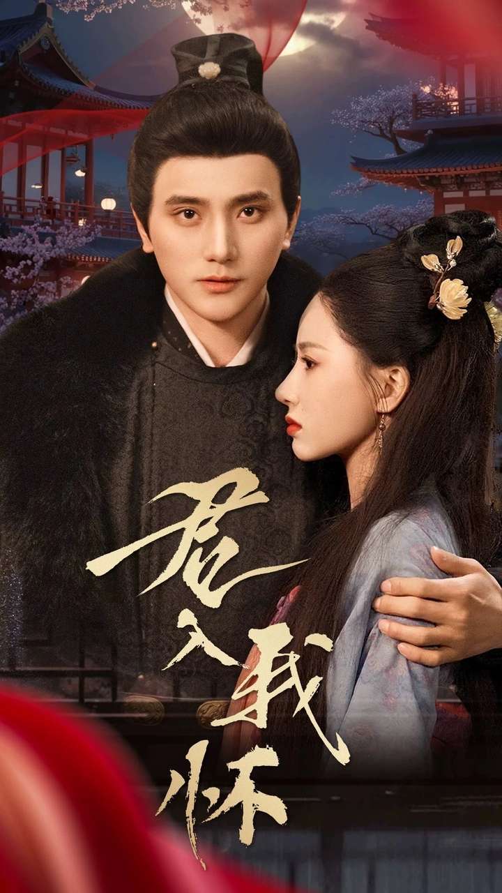 君入我怀海报