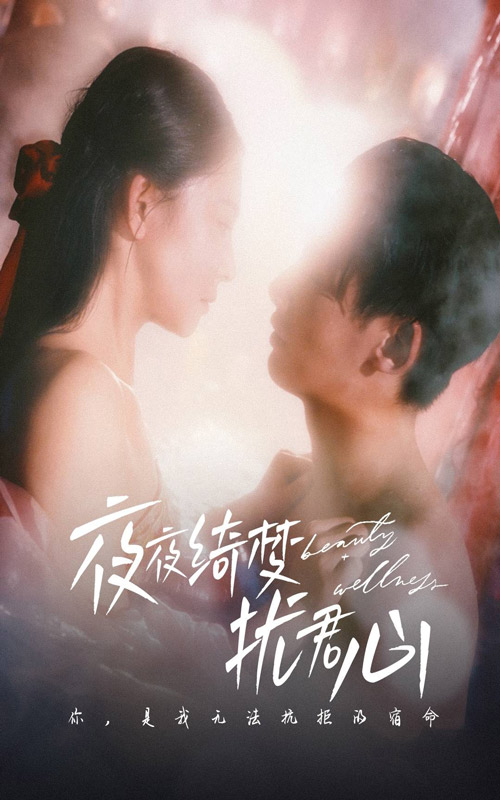 夜夜绮梦扰君心海报