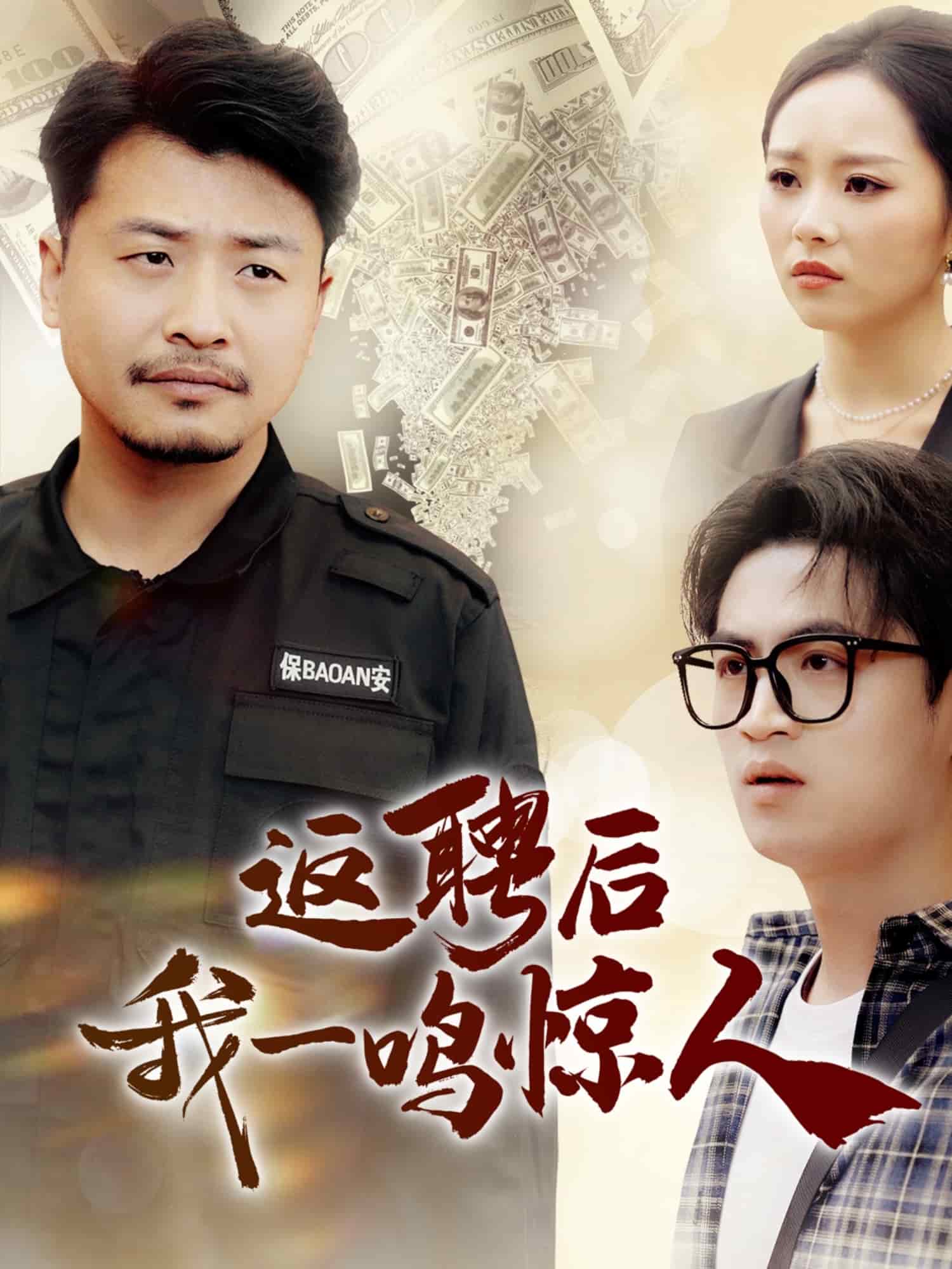 返聘后我一鸣惊人海报