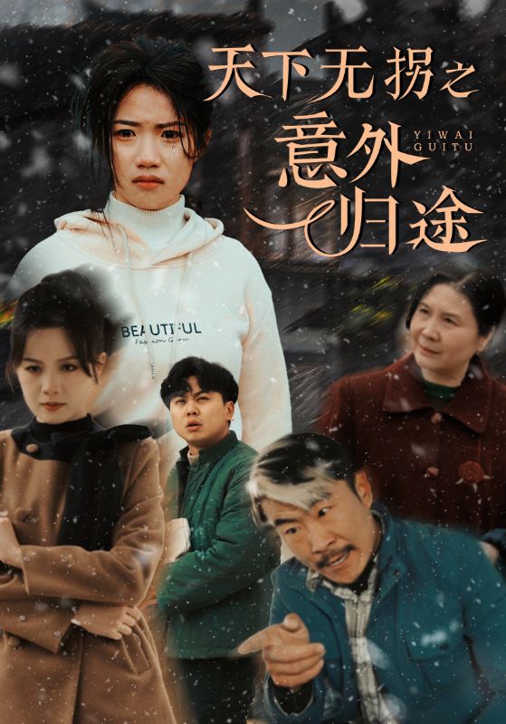 天下无拐之意外归途海报