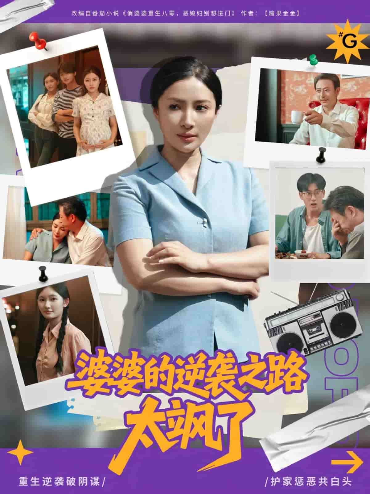 婆婆的逆袭之路太飒了海报