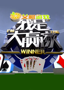 我是大赢家2015海报