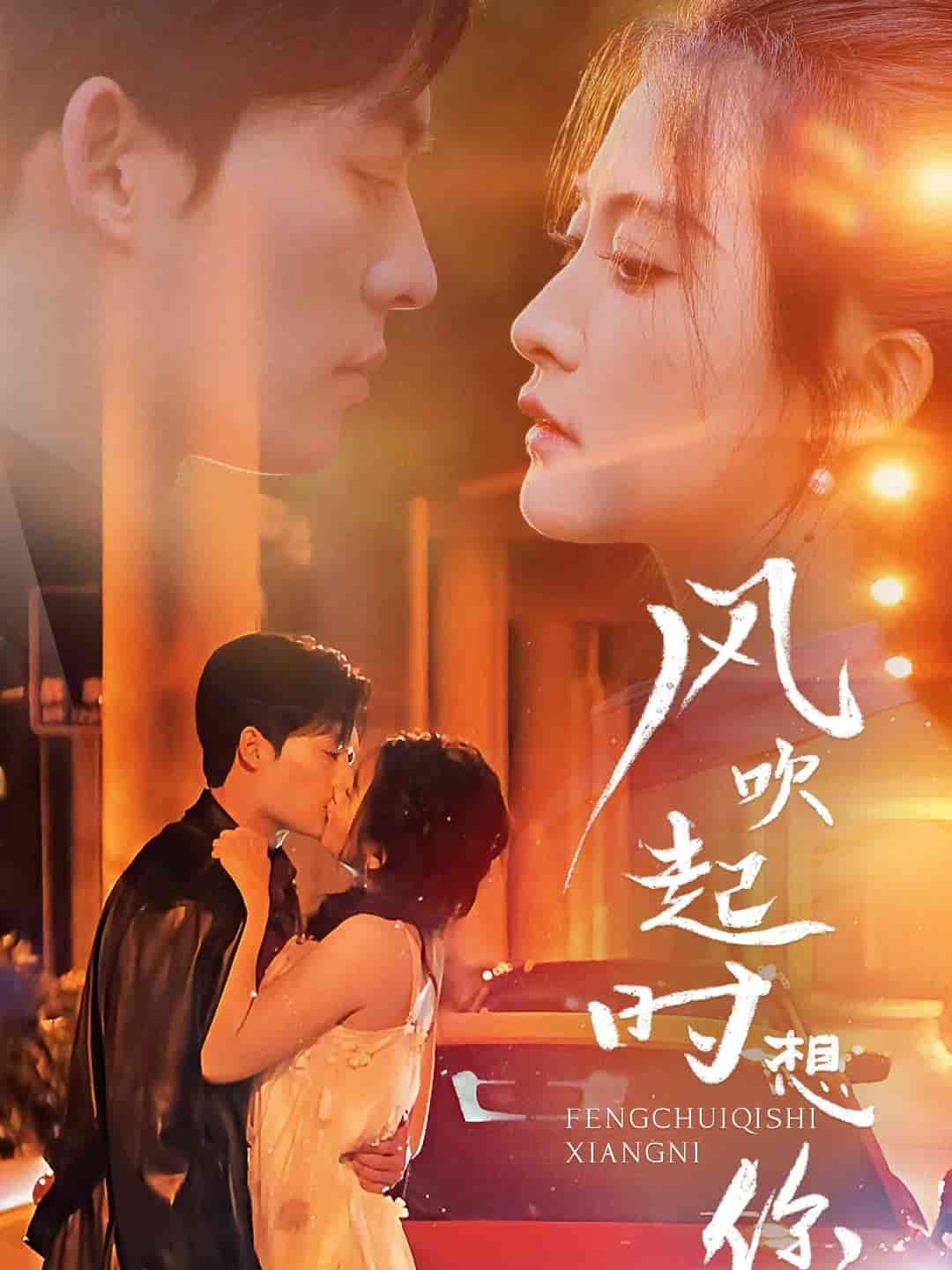 风吹起时想你海报