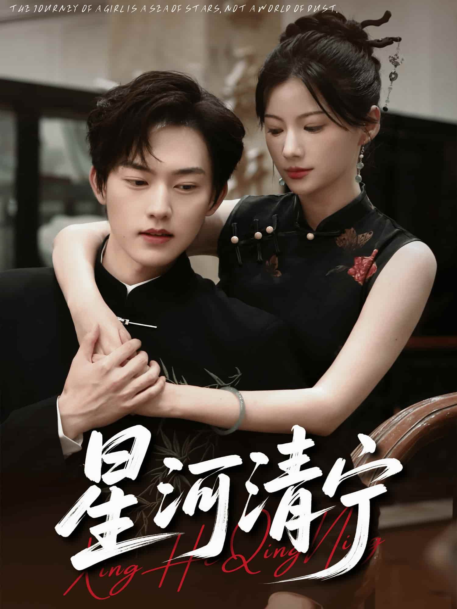 星河清宁海报