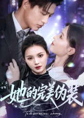 她的完美伪装海报