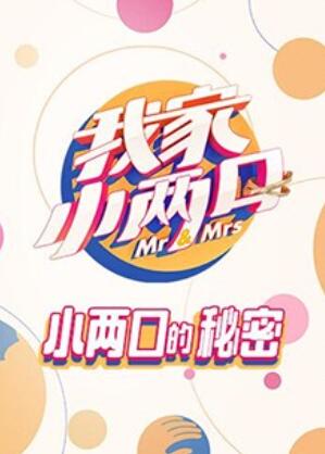 我家小两口海报
