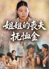 姐姐的丧夫抚恤金海报
