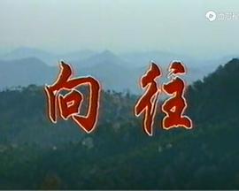 向往海报