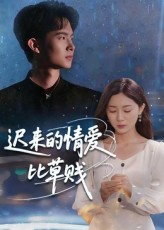 迟来的情爱比草贱海报