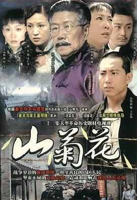 山菊花2009海报