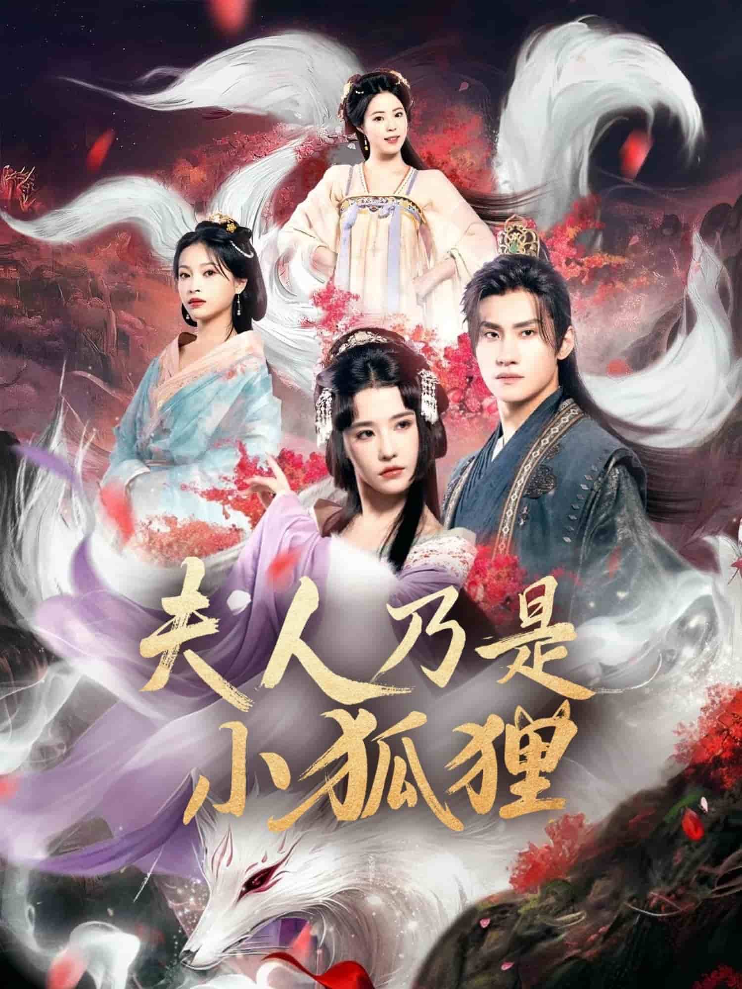 狐狸夫人今天掉马了吗海报