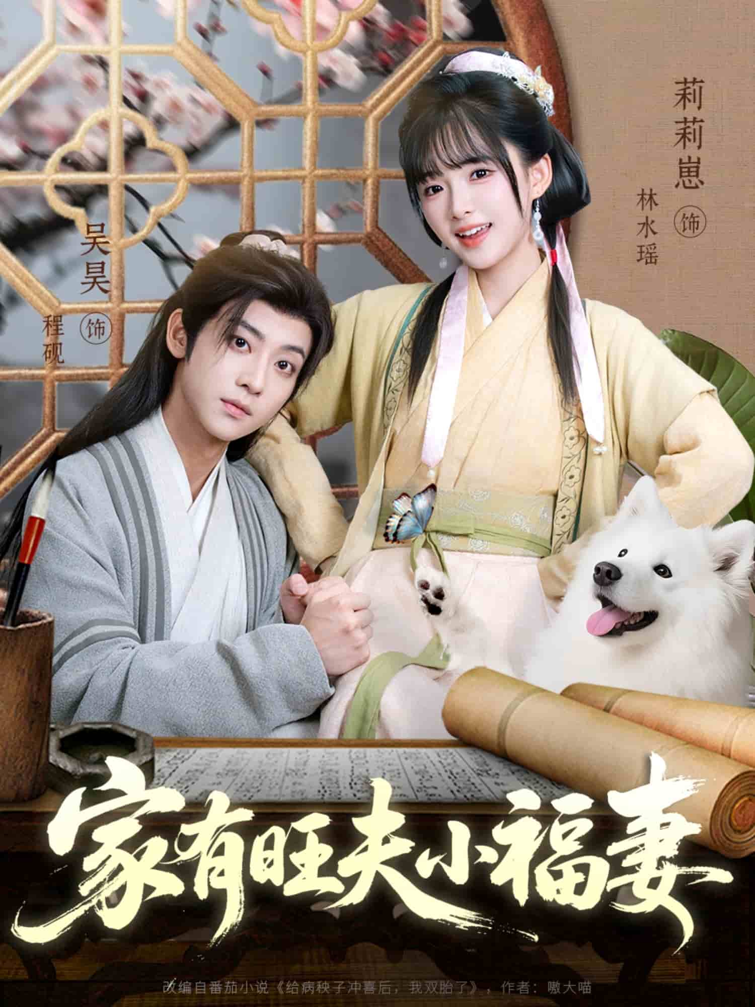 家有旺夫小福妻海报
