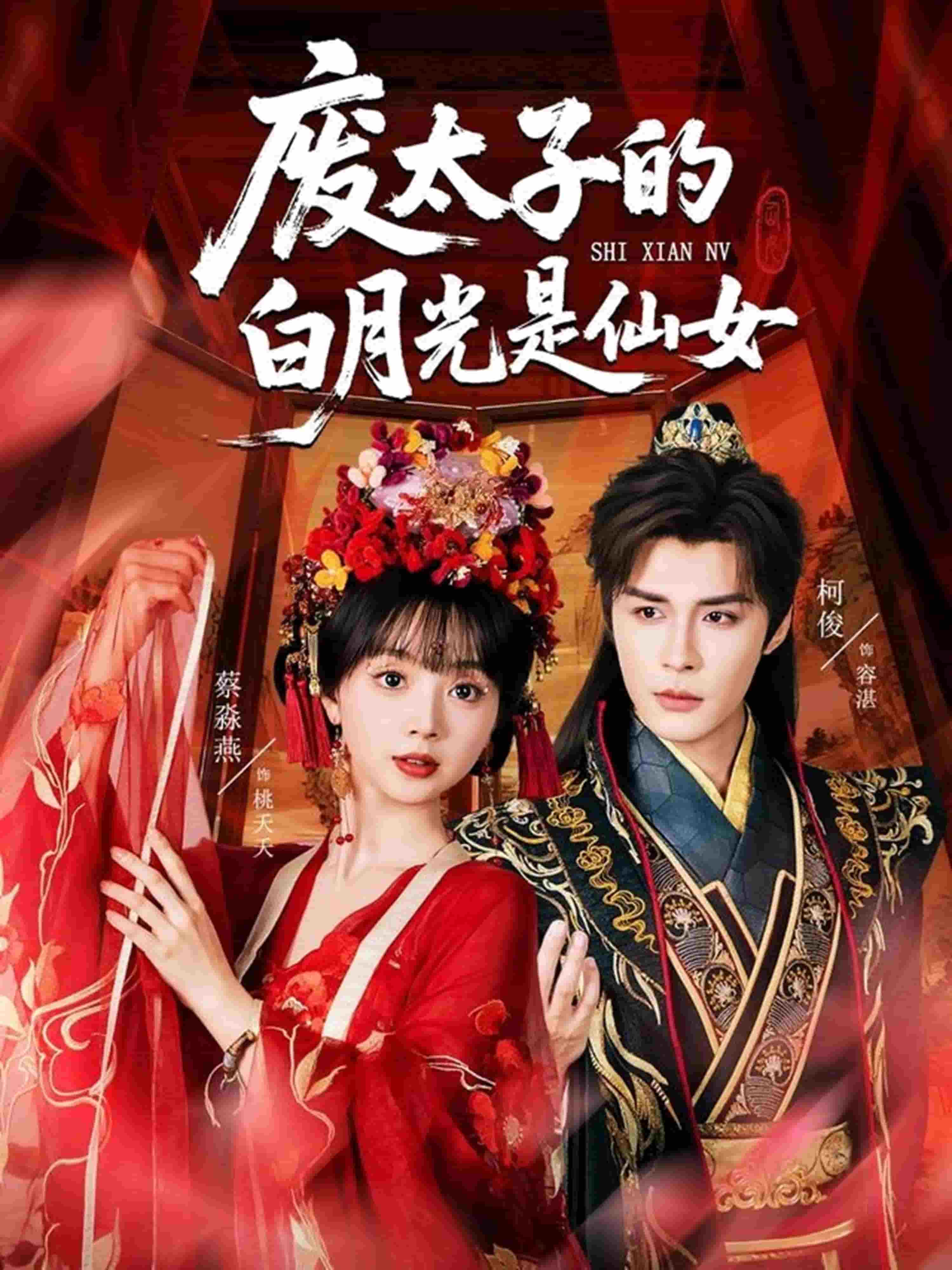 废太子的白月光是仙女海报