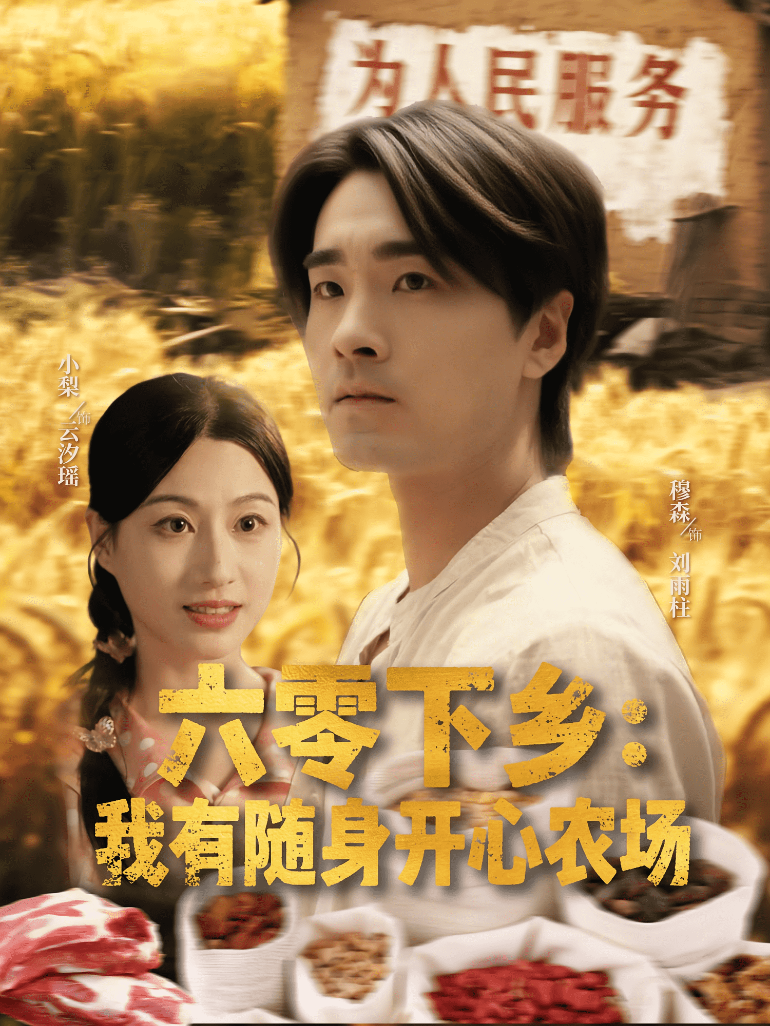 六零下乡我有随身开心农场海报