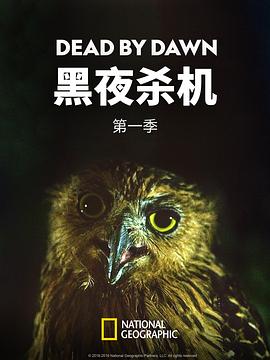 黑夜杀机第一季海报