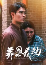 养恩成劫海报