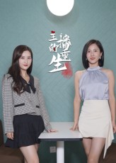主播的重生海报