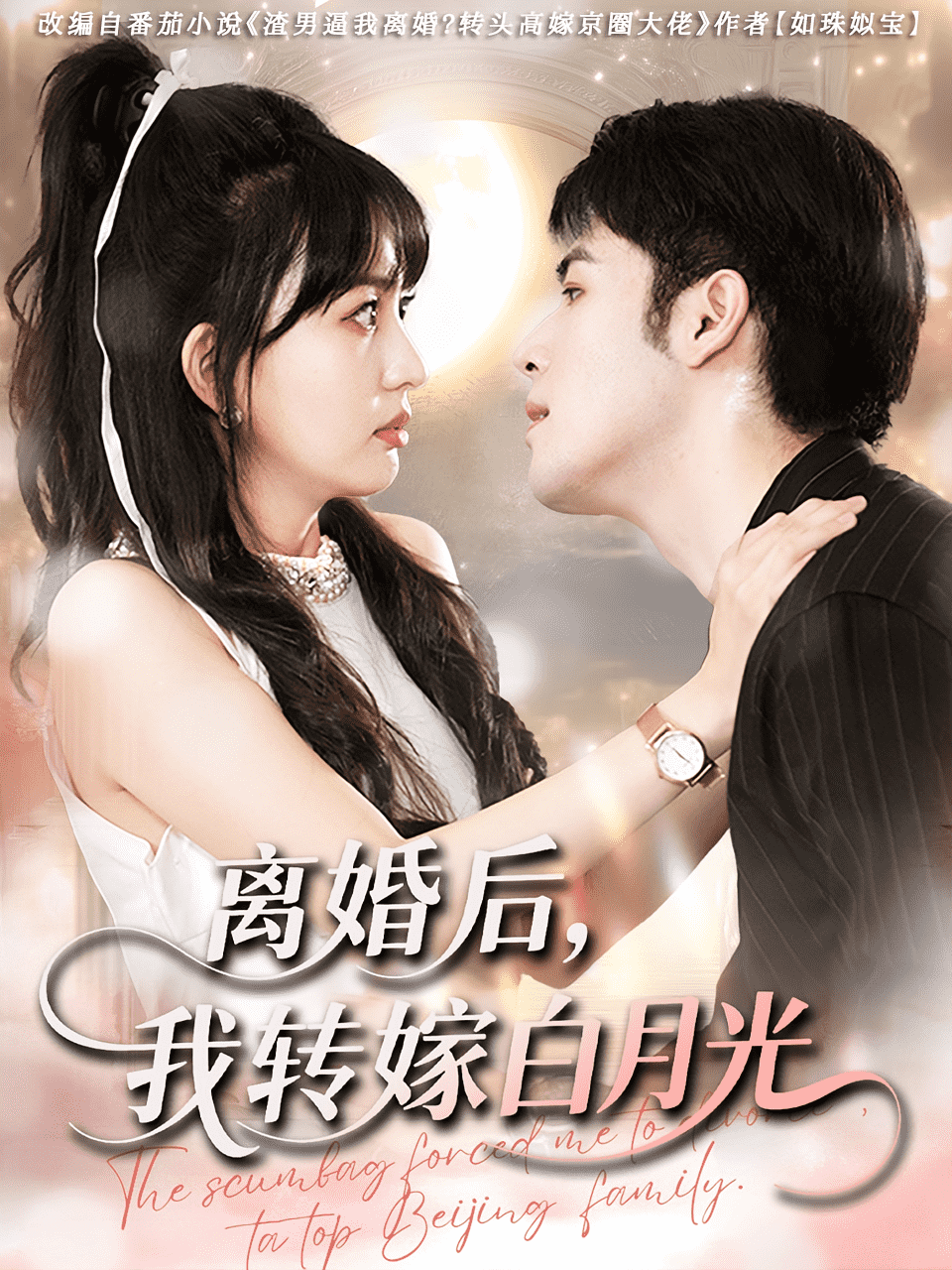 离婚后我转嫁白月光海报