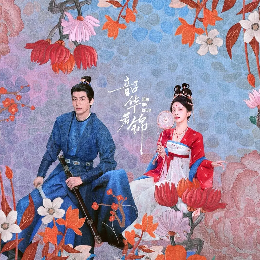 韶华若锦海报