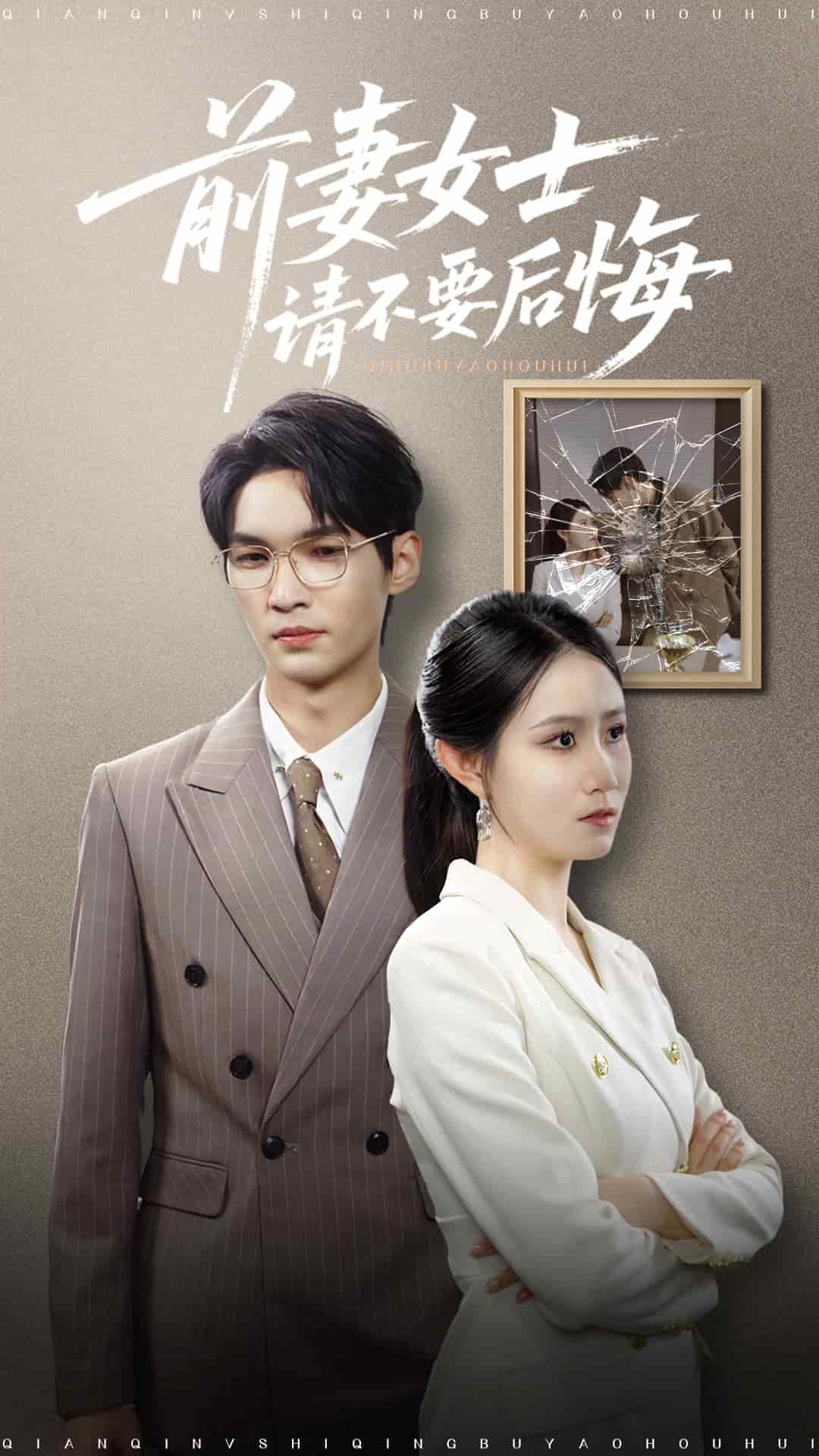 前妻女士请不要后悔海报