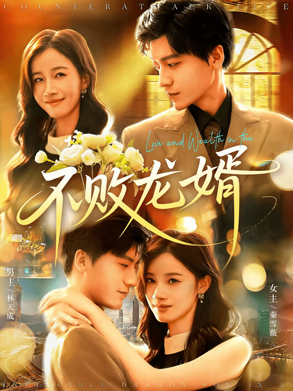 不败龙婿海报