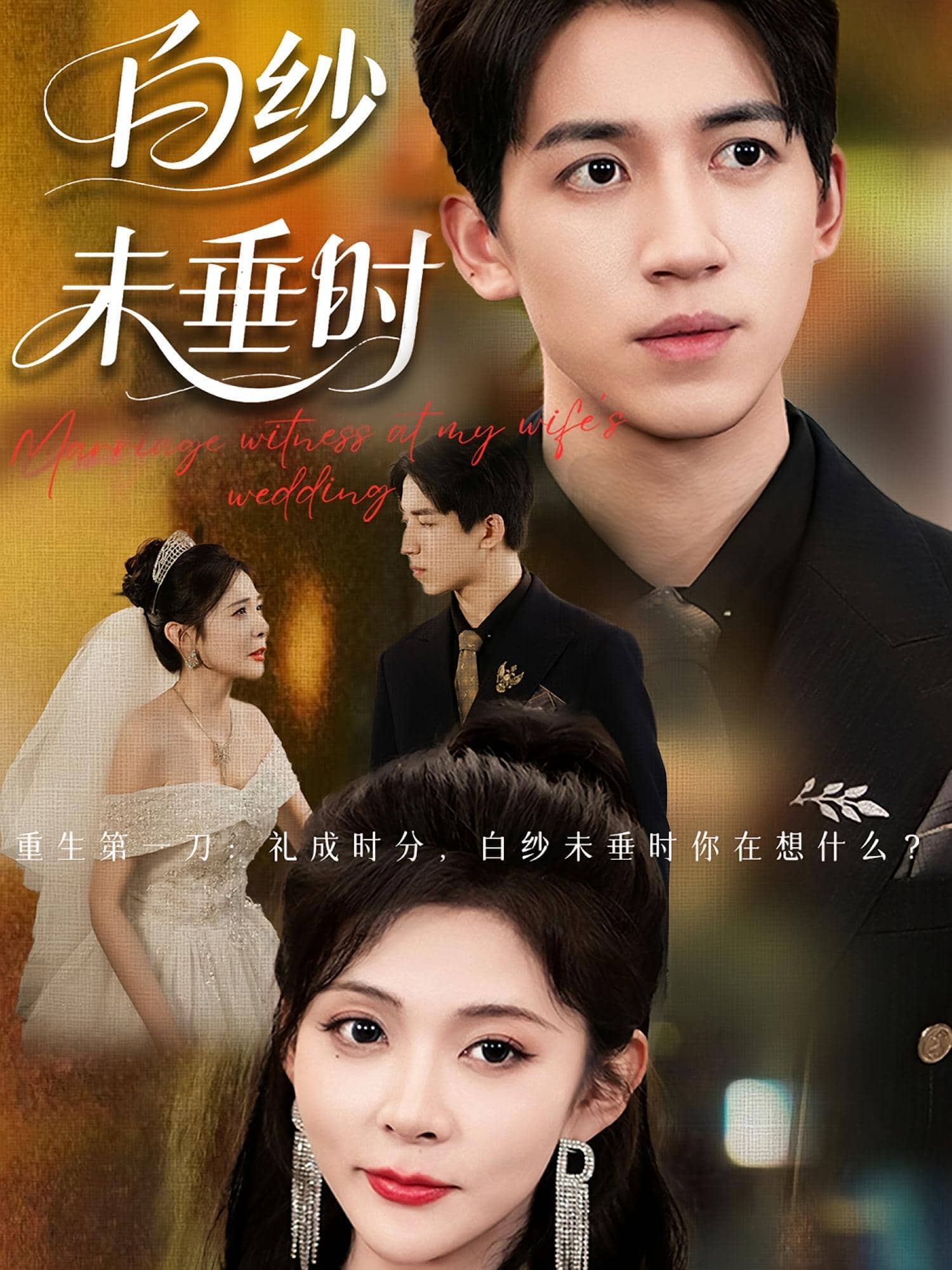 老婆婚礼我当证婚人海报