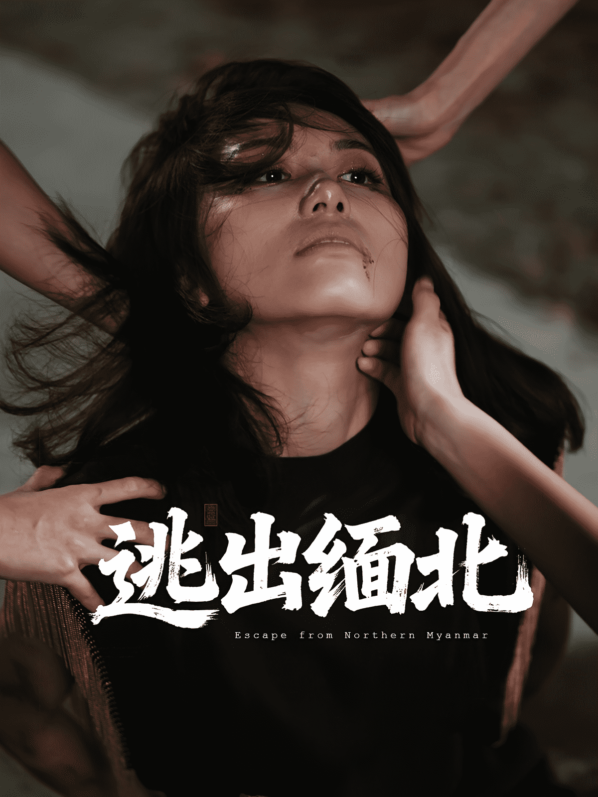 逃出缅北海报