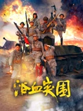 浴血突围海报