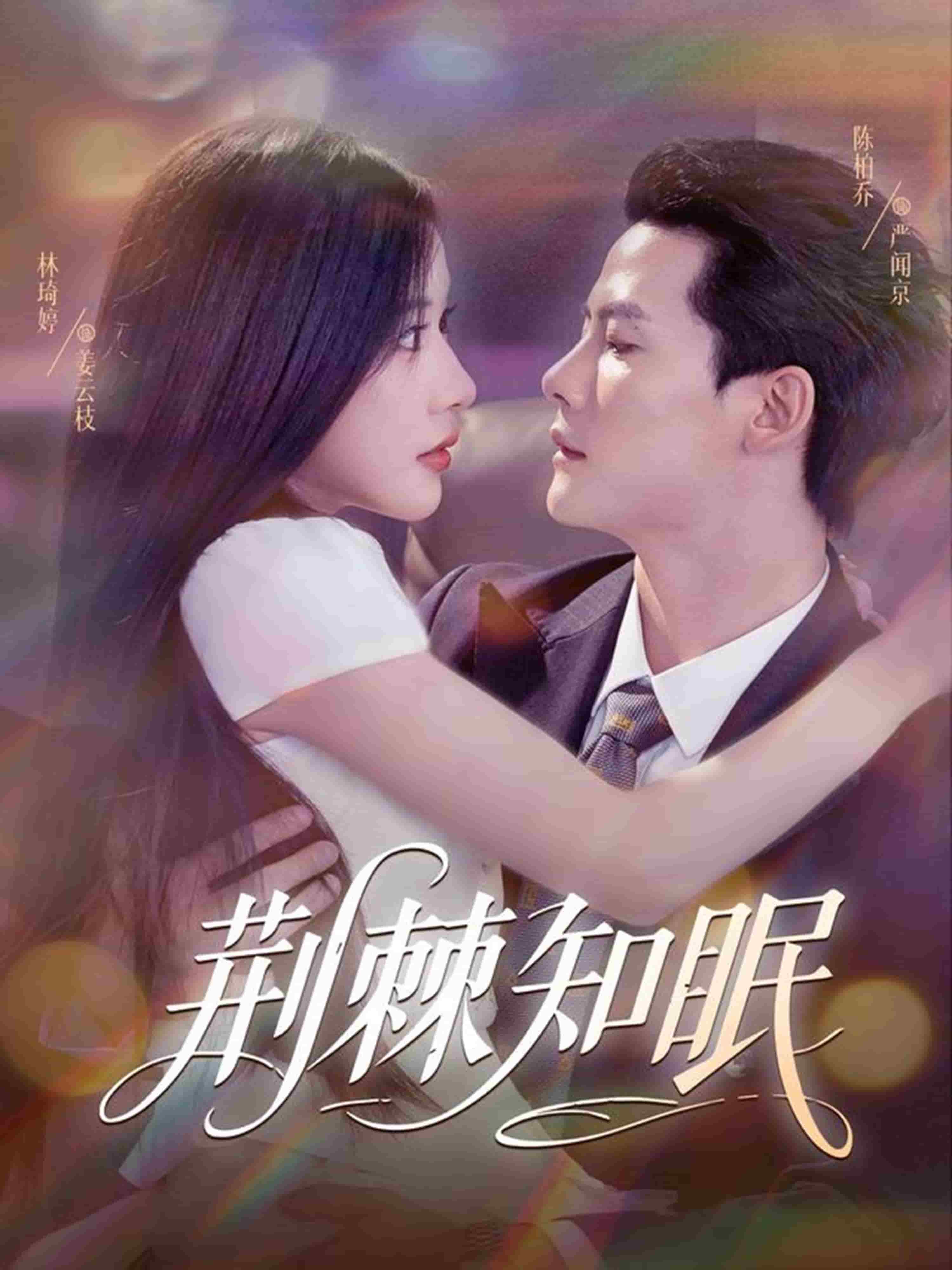 荆棘知眠海报