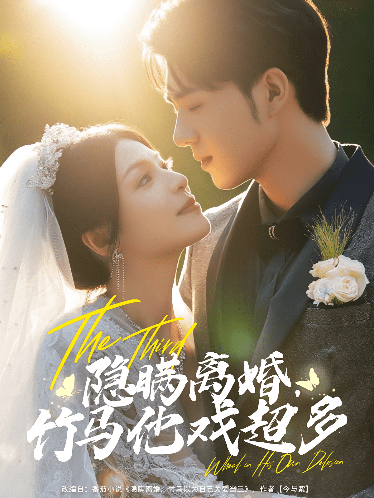 隐瞒离婚竹马他戏超多海报