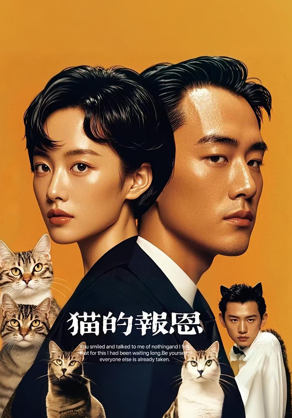 猫的报恩（短剧版）海报