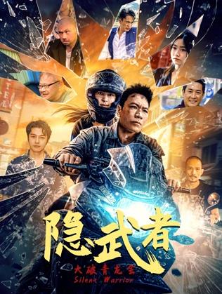 隐武者：大破青龙会海报