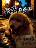 狗狗奇遇记海报